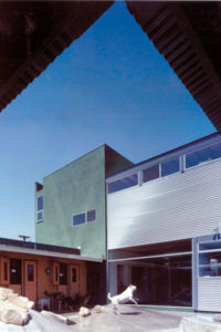 Photo looking upwards of a courtyard for a modern house. Features both a dark green and grooved steel wall, as well as multiple dogs hiding in the shadow of a canopy roof.