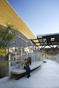 Rendering of the North Central Animal Services kennels. The cages sit against a wooden wall and along a concrete bench.