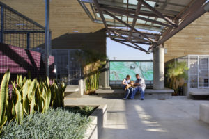 Rendering of the North Central Animal Services Center Courtyard. Includes multiple concrete plant beds, dog kennels, and a glass covered canopy.