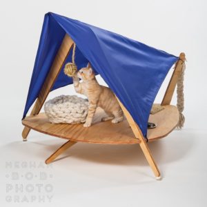 Photo of a cat playing with a hanging rope toy within a play structure. The structure is made of wood and includes multiple places to install toys, a hole that holds a bowl, and a blue cloth creating a roof.