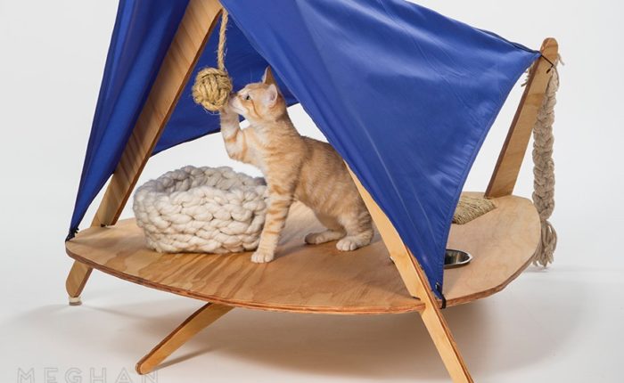 Photo of a cat playing with a hanging rope toy within a play structure. The structure is made of wood and includes multiple places to install toys, a hole that holds a bowl, and a blue cloth creating a roof.