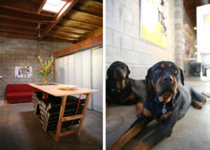 Two separate photos, the one on the left showing a small lounge space complete with a wood bar-height tale and a red cough. The right photo has two dogs sitting on the floor of the office.